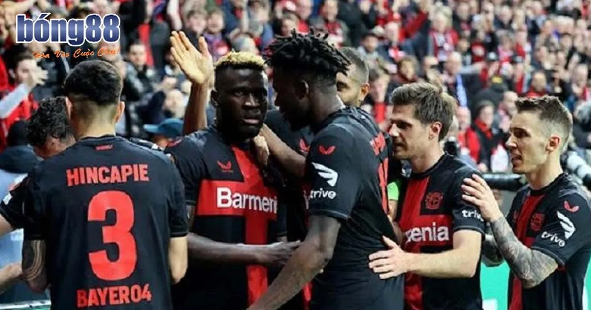 Mẹo Soi Kèo Cup C2 Cực Kỳ Hiệu Quả Dành Cho Tân Binh Mẹo soi kèo cup C2 đã cược là thắng